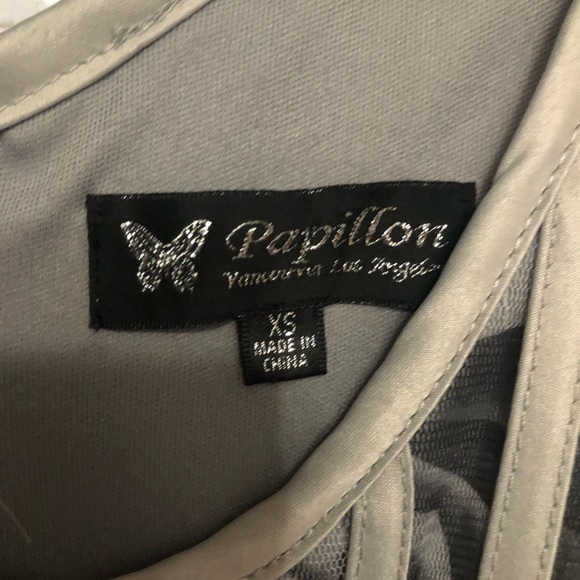 Papillon  🦋 accordion grey midi dress - Picture 5 of 8